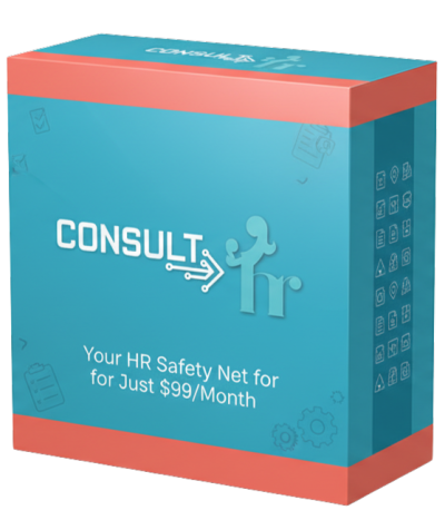 ConsultHR Mockup